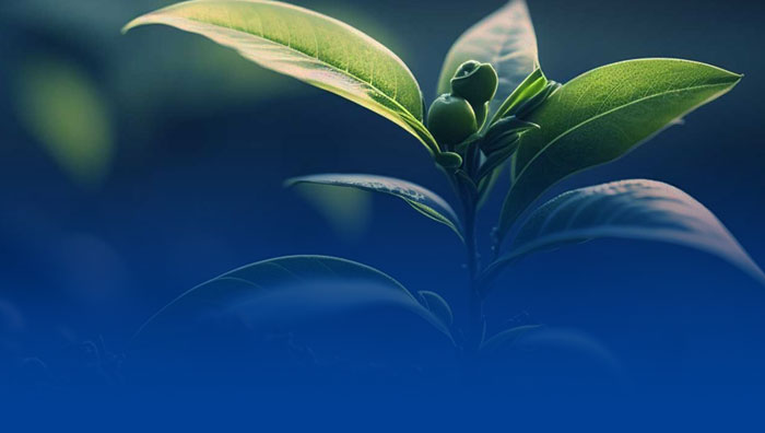 novalec hvac systems